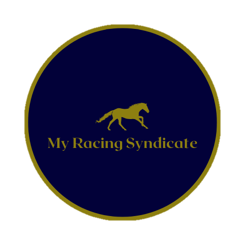 My Racing Syndicate